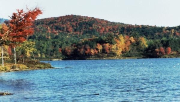 Lake View