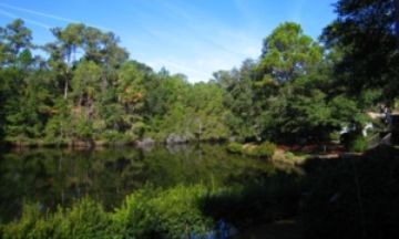 Johns Island, South Carolina, Vacation Rental House