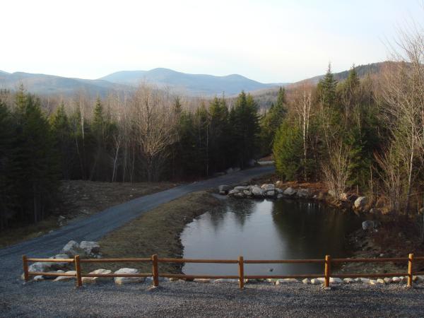 Overlooking the Pond