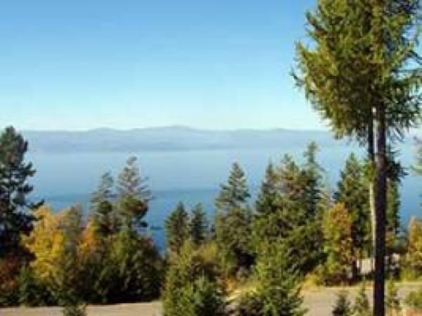 View from Cabin Apartment