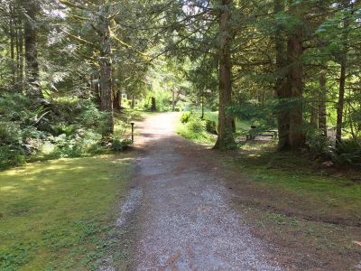 Trail through Mt. Baker national forest area