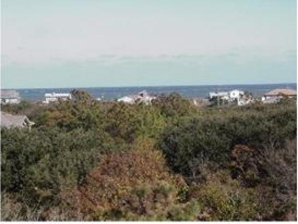 View from the Roof Deck