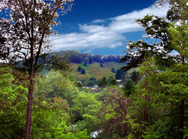 Bryson City, North Carolina, Vacation Rental Cabin