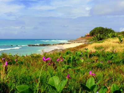 Moonraker beach side gardens