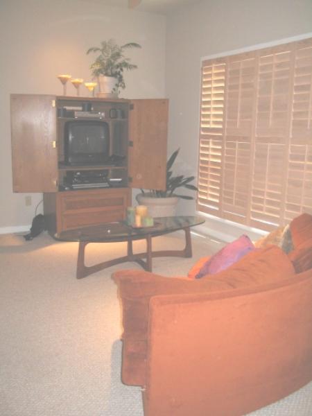 Living Room with TV