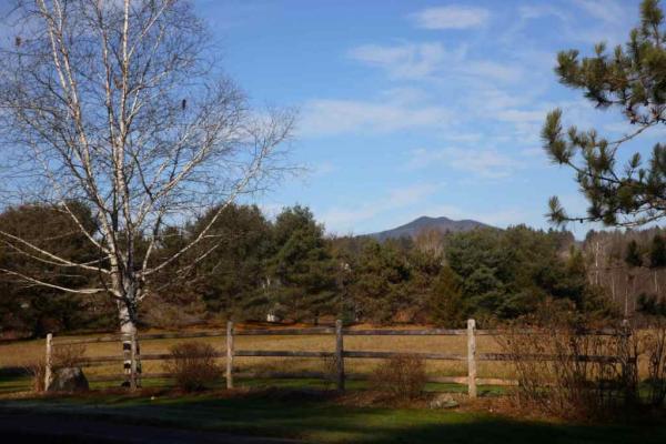 View from front yard