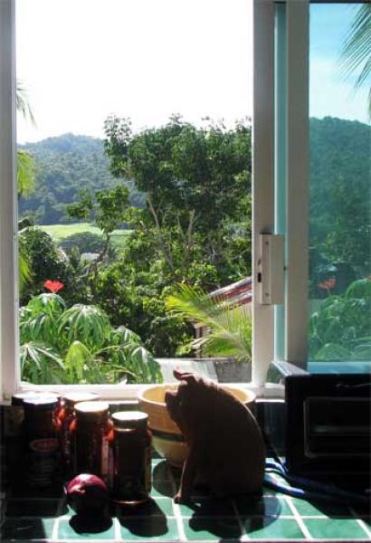 View from The Balcony