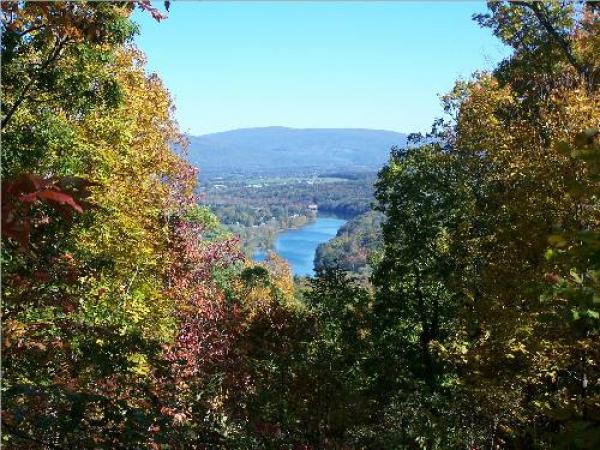 Mountain and River views from Browns Log Cabin