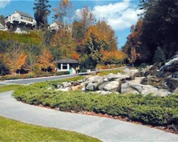 Road to the Property 