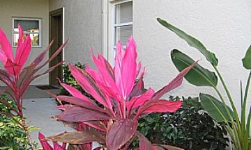 Bonita Springs, Florida, Vacation Rental Condo