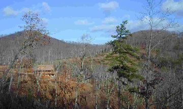 Warne, North Carolina, Vacation Rental Cabin