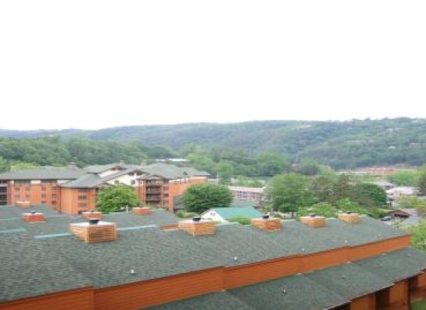 Surrounding Area