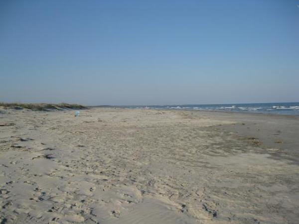 Beach View