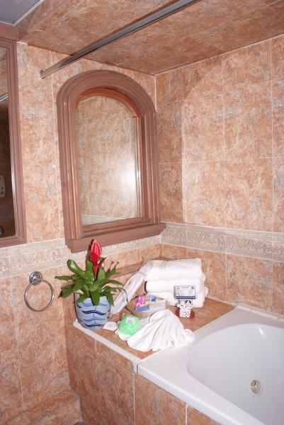 Deluxe Double room bathroom