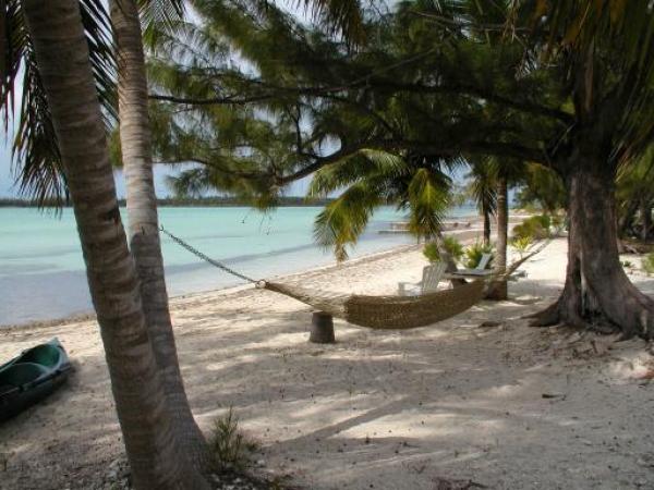 Spend the Day Near Beach
