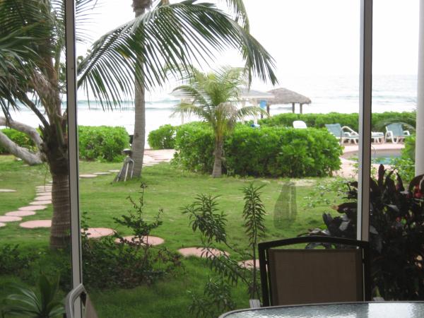 View from Screen Porch