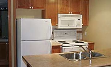 Whistler, British Columbia, Vacation Rental Condo