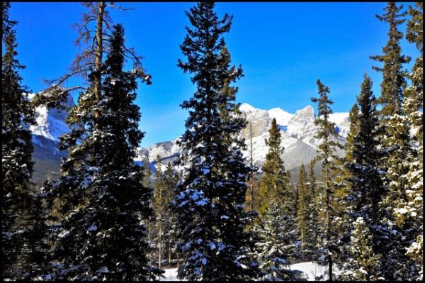 Unobstructed Views of the Breathtaking Rockies