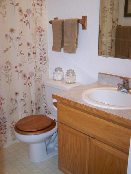 Guest bathroom with shower/tub combo 