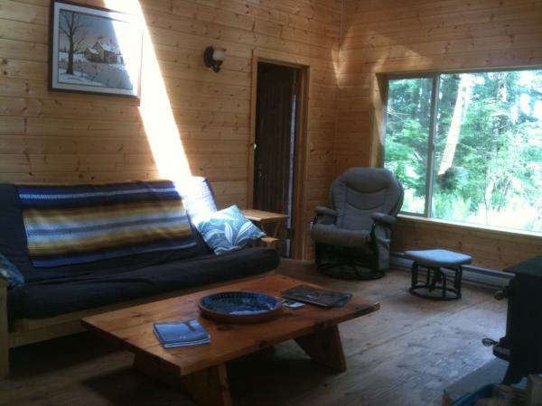 Living room with queen size futon couch/bed