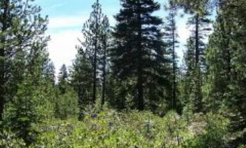 Truckee, California, Vacation Rental House