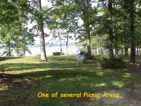 Picnic Area