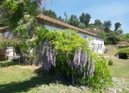 Baiao, North Portugal, Vacation Rental House