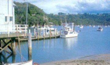 Coromandel, Waikato, Vacation Rental House