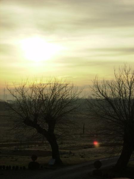 Morning View