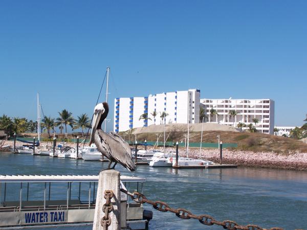 We are the first bldg north of the Marina El Cid! 