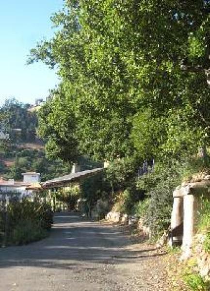 Outside view of House