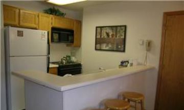 Breckenridge, Colorado, Vacation Rental Condo