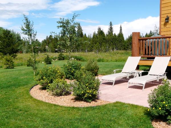 Spaceous yard and patio