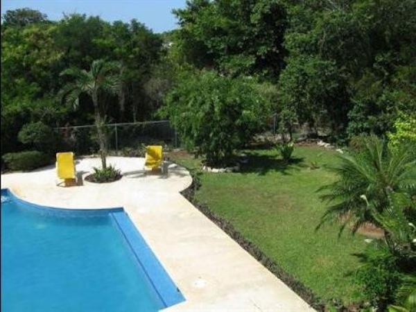 Pool And Yard