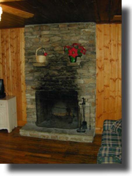 Wood Burning Fireplace