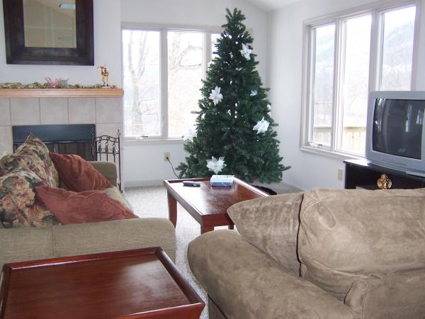 Massanutten, Virginia, Vacation Rental House