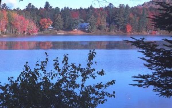 Lake View From Property, Fall