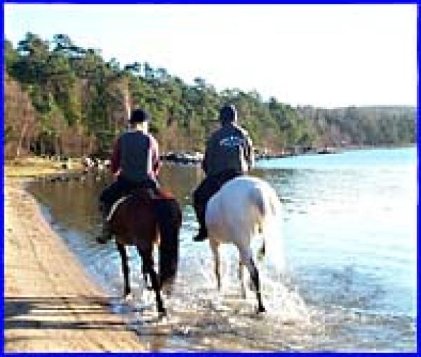 Horseback  Riding