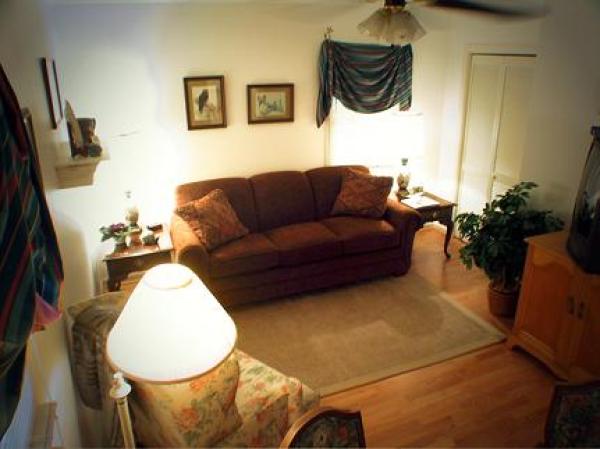 Luxurious Seating