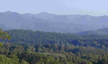 Warne, North Carolina, Vacation Rental Cabin