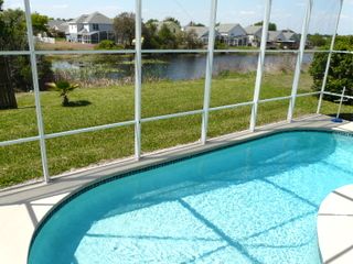 Relax by the pool and watch the birds