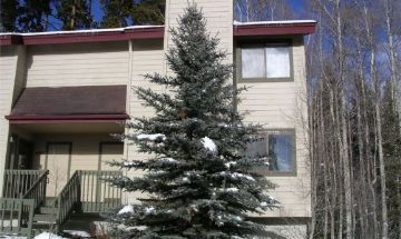 Silverthorne, Colorado, Vacation Rental House