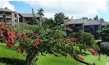 Kauai-Princeville, Hawaii, Vacation Rental Condo