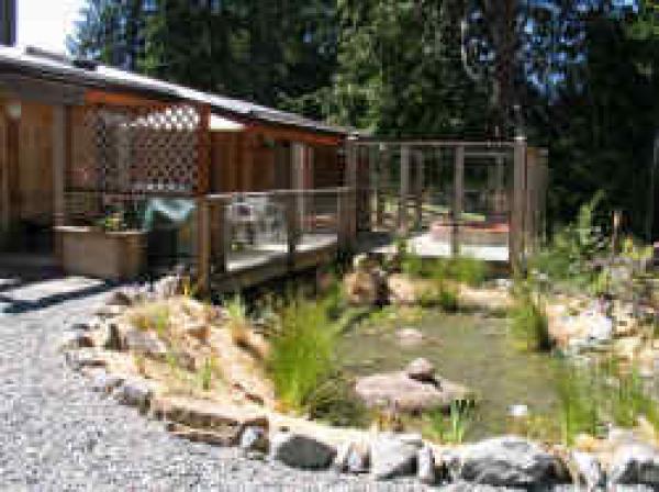 Deck and Pond