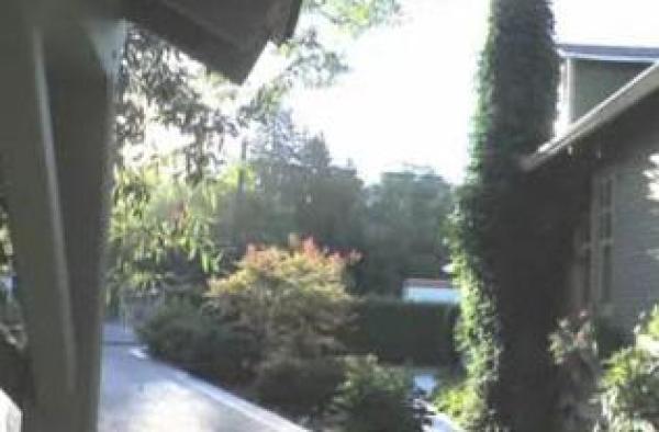 Driveway to Cottage