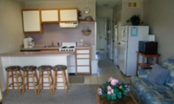 Isle of Palms, South Carolina, Vacation Rental Condo