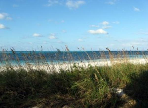 Beach Area