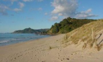 Rings Beach, Coromandel , Vacation Rental House