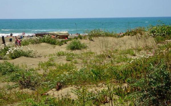 Beach