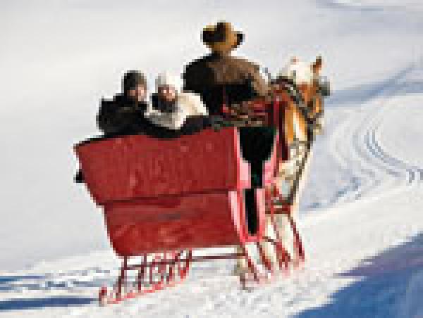 Winter Sleigh Ride